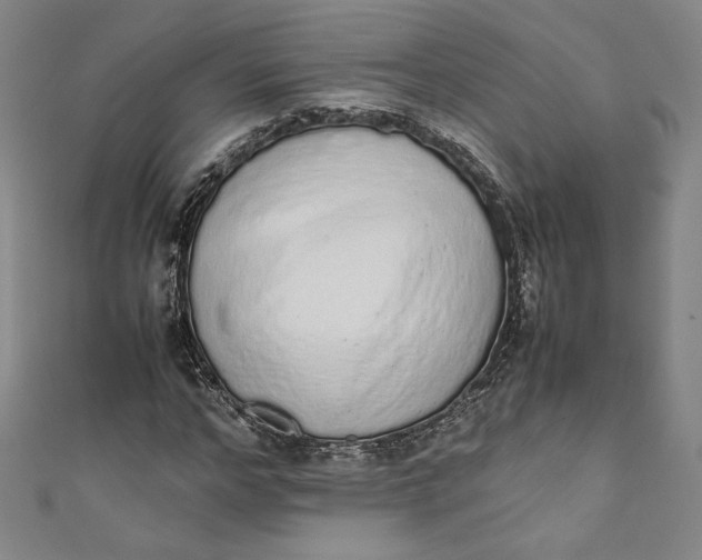 X0000111450968200907271227