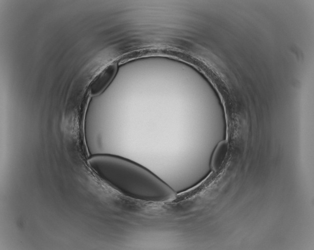 X0000111450969200907271227