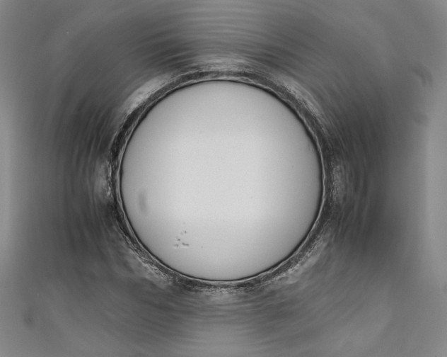 X0000111450970200907271227