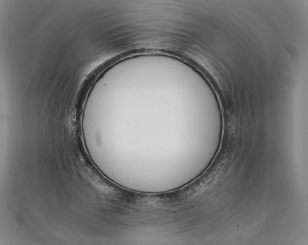 X0000111450971200907271227