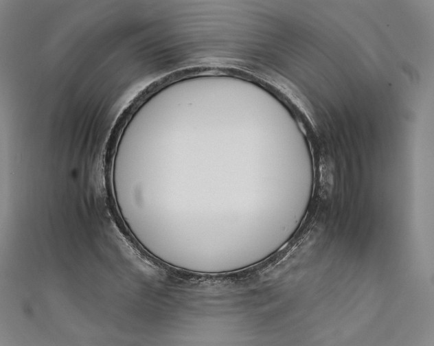 X0000111450972200907271227