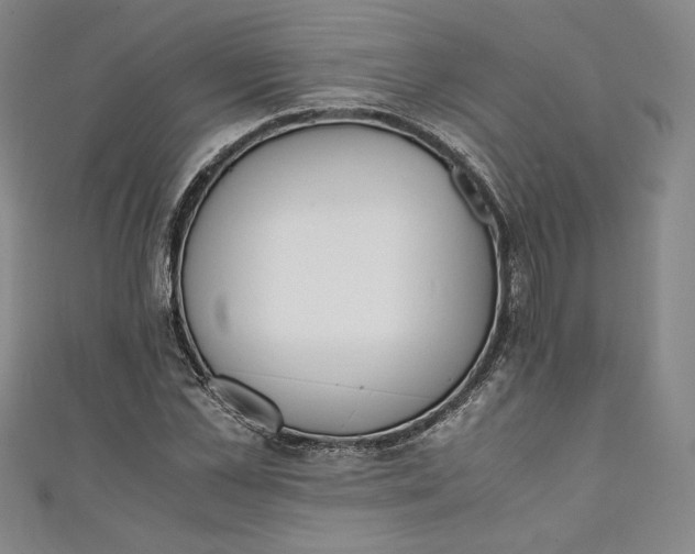 X0000111450973200907271227