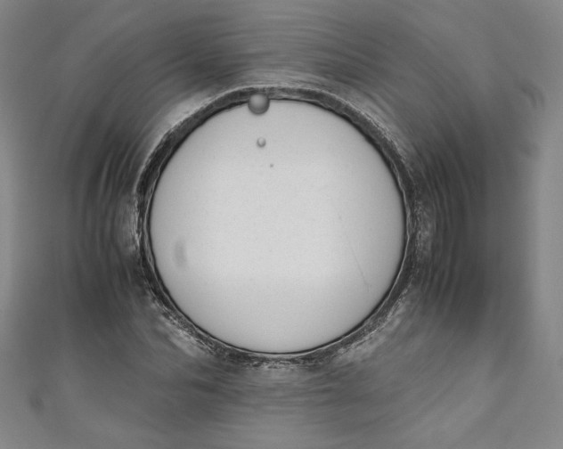 X0000111450974200907271227