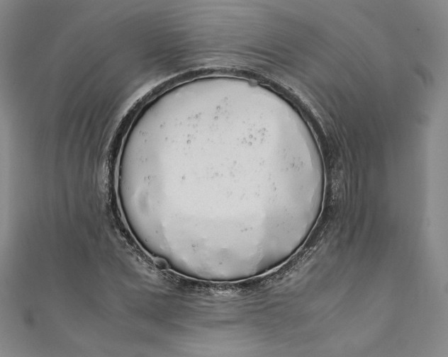 X0000111450975200907271227