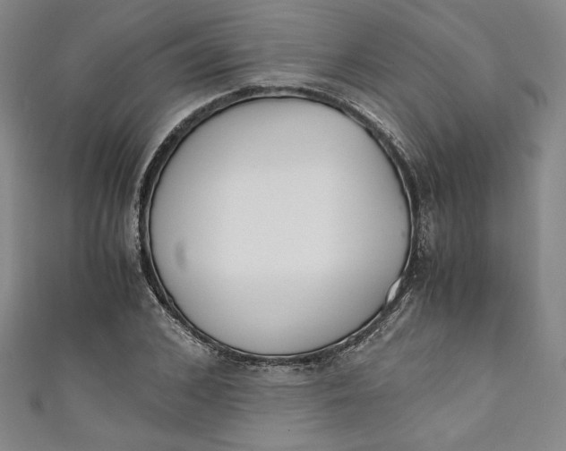 X0000111450976200907271227