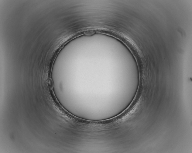 X0000111450977200907271227