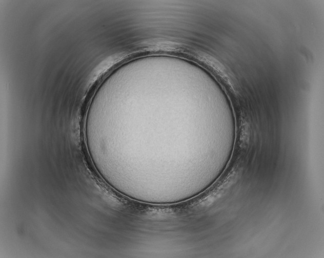 X0000111450978200907271227