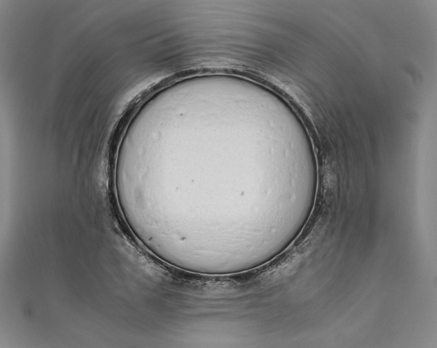 X0000111450979200907271227