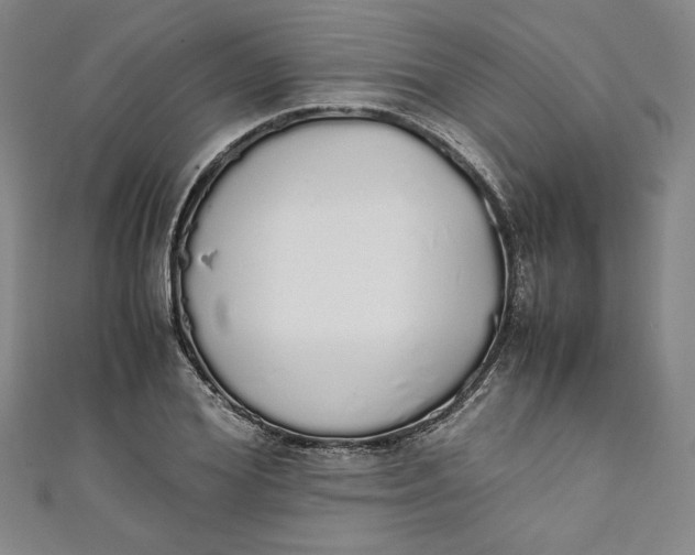 X0000111450980200907271227
