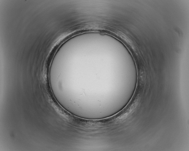 X0000111450981200907271227