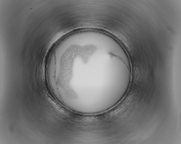 X0000111450982200907271227