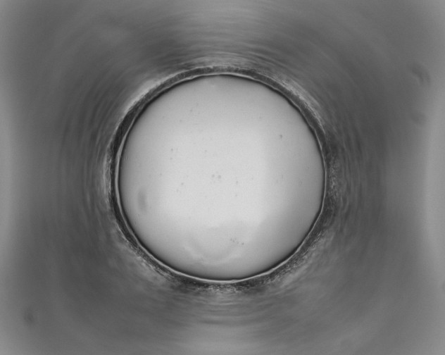 X0000111450983200907271227