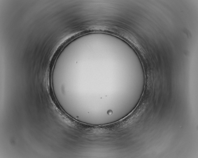 X0000111450984200907271227