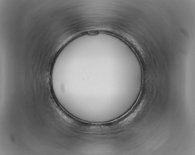X0000111450985200907271227