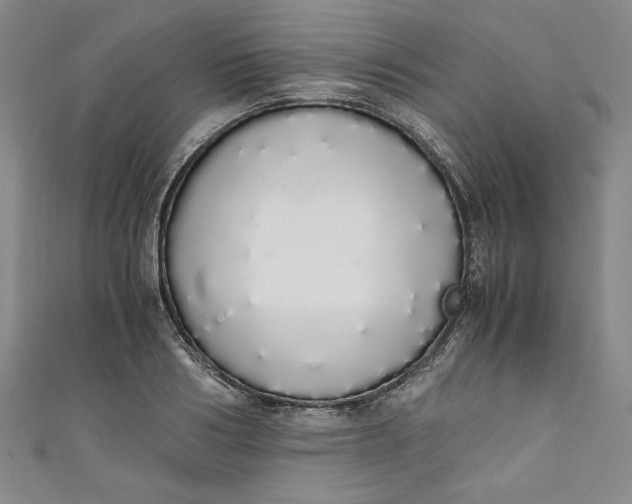 X0000111450986200907271227