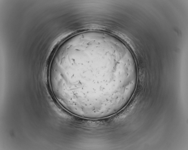 X0000111450987200907271227