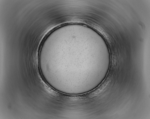 X0000111450988200907271227