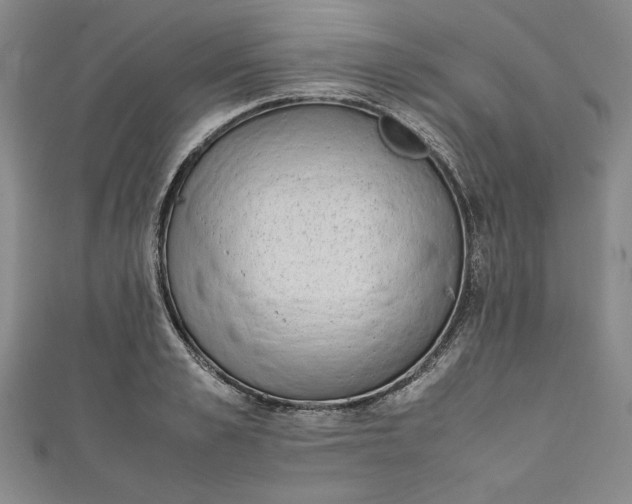 X0000111450989200907271227