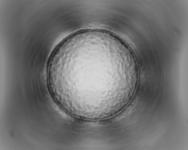 X0000111450990200907271227