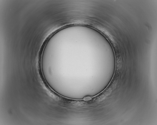 X0000111450991200907271227