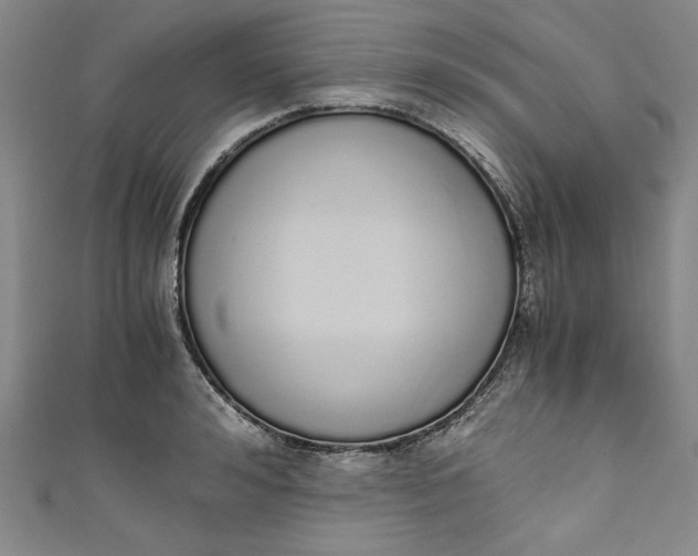 X0000111450992200907271227
