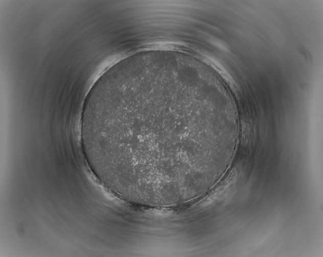 X0000111450994200907271227