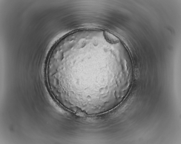 X0000111450995200907271227