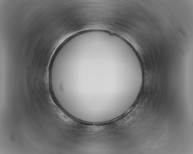 X0000111450996200907271227