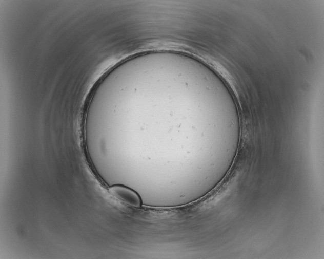 X0000111450997200907271227