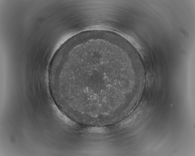 X0000111450998200907271227