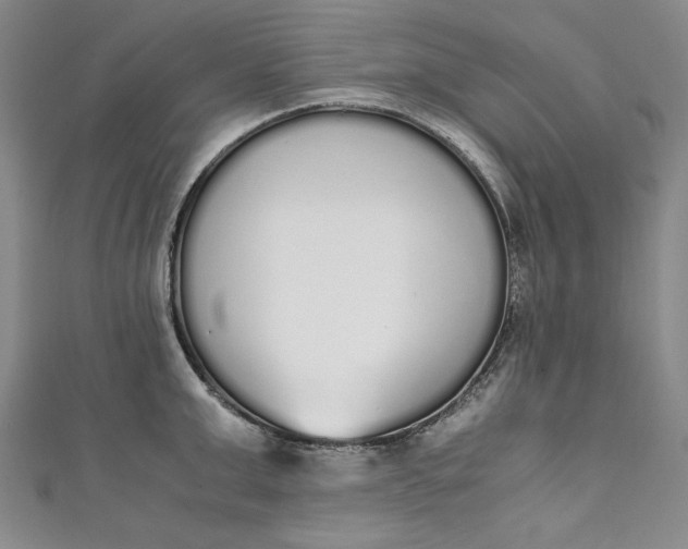 X0000111450999200907271227