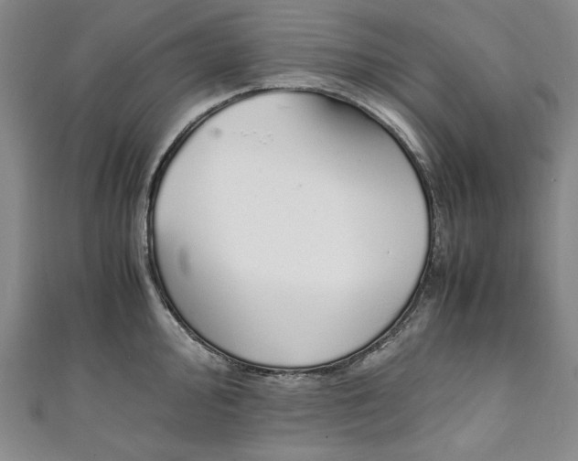 X0000111451000200907271227