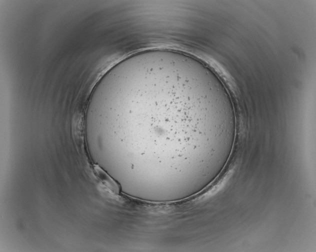 X0000111451001200907271227