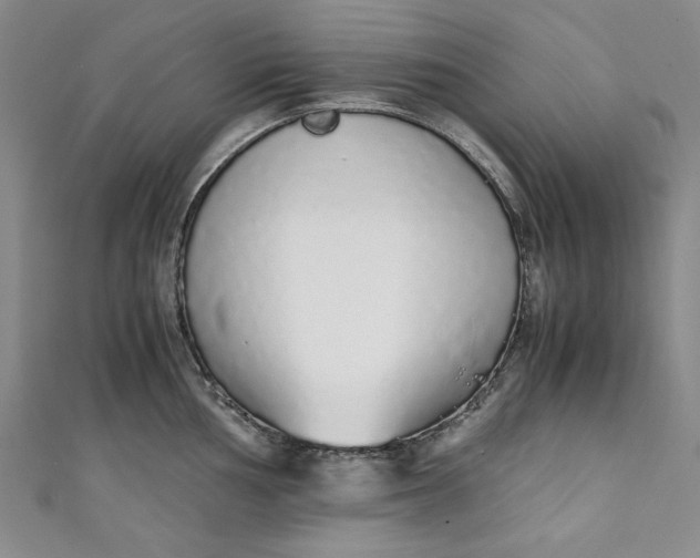 X0000111451002200907271227