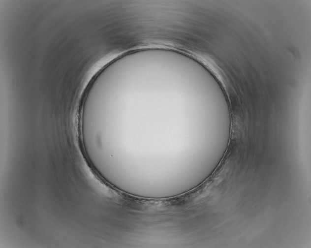 X0000111451003200907271227