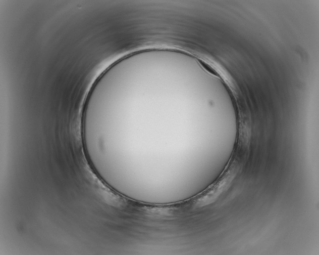 X0000111451004200907271227
