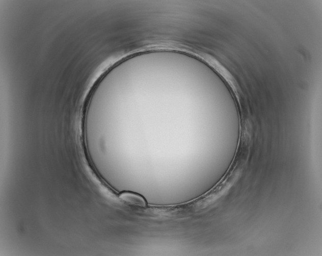 X0000111451005200907271227