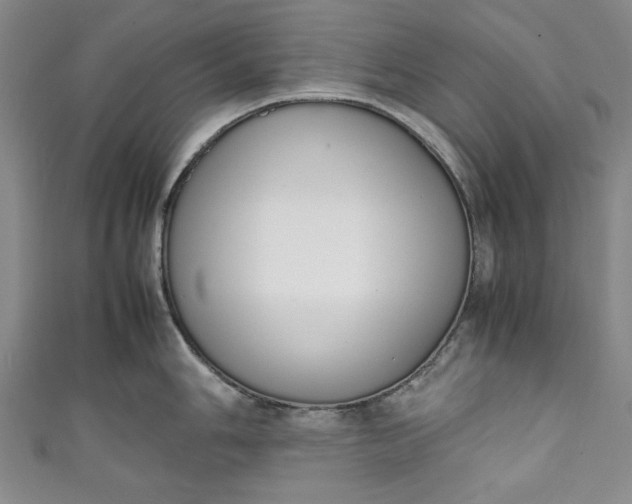 X0000111451006200907271227