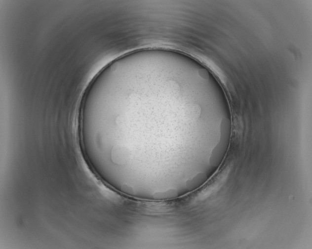 X0000111451007200907271227