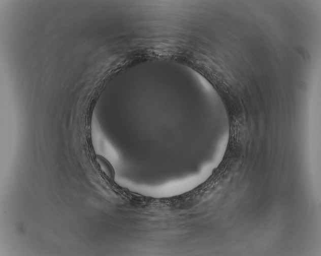 X0000111451009200907271226