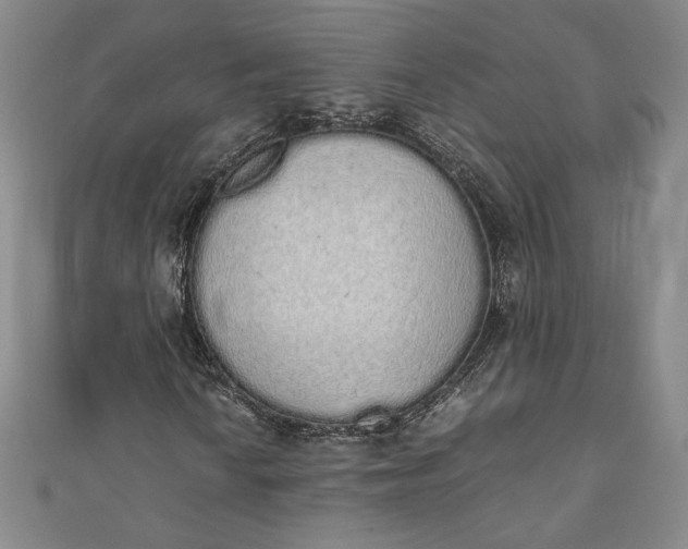 X0000111451010200907271226