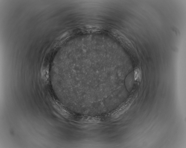 X0000111451011200907271226