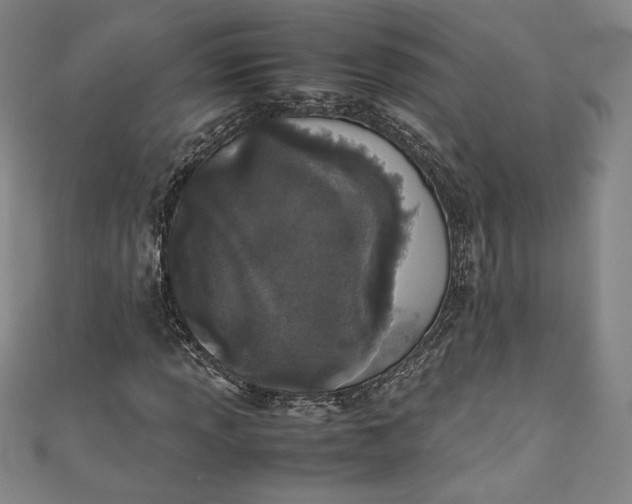 X0000111451013200907271226