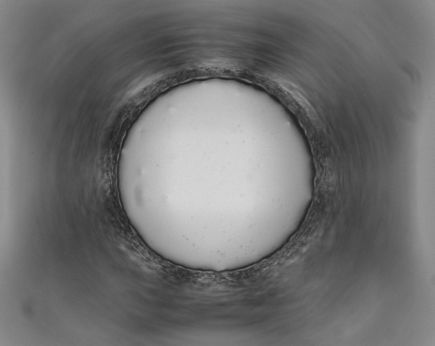 X0000111451015200907271226