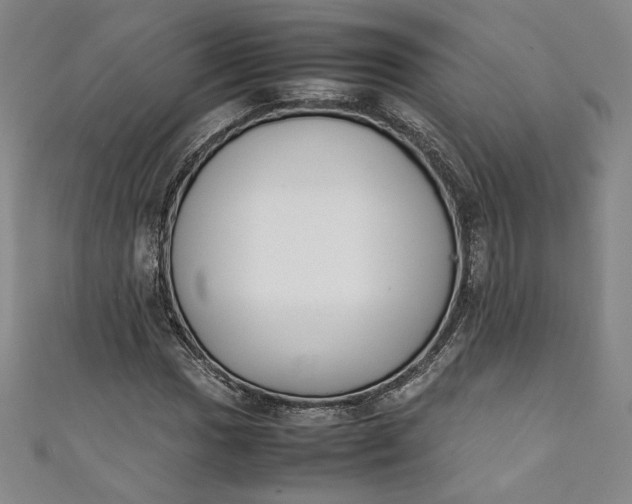 X0000111451017200907271226