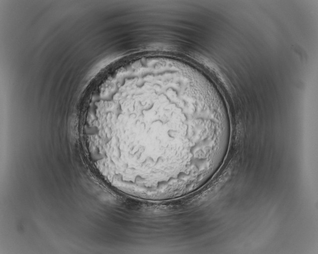 X0000111451019200907271226