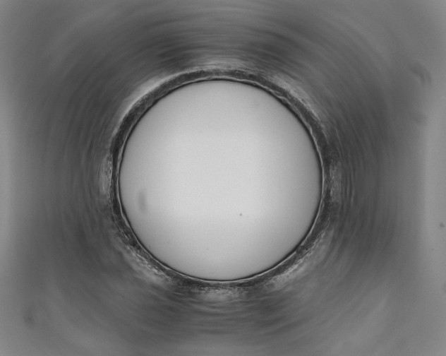 X0000111451021200907271226