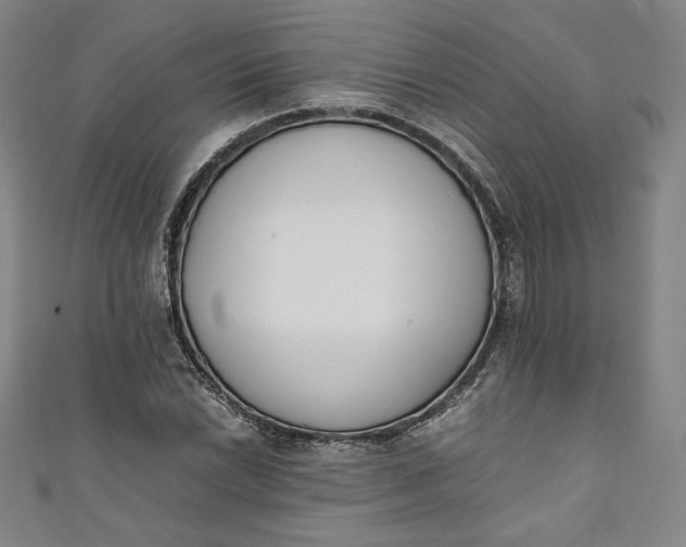 X0000111451022200907271226