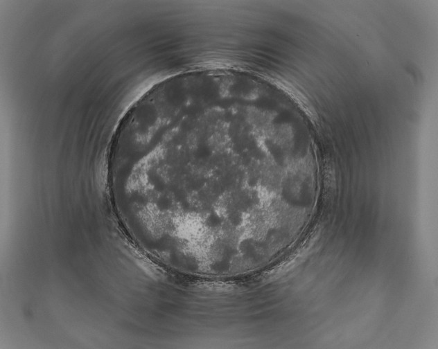 X0000111451023200907271226