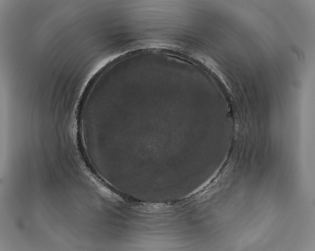 X0000111451024200907271226